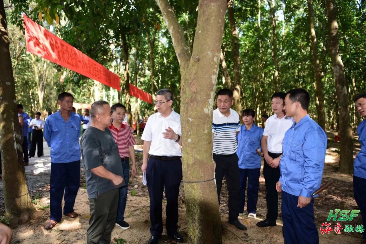 艾轶伦一行人在全国割胶状元张健的胶园调研